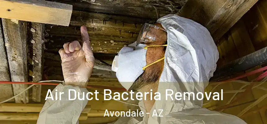 Air Duct Bacteria Removal Avondale - AZ