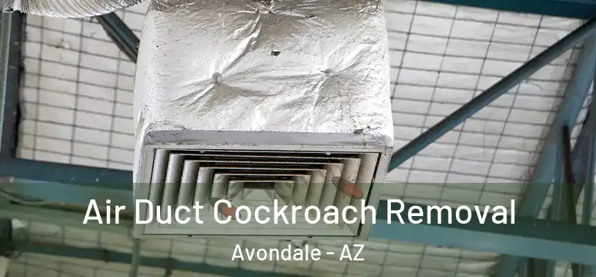 Air Duct Cockroach Removal Avondale - AZ