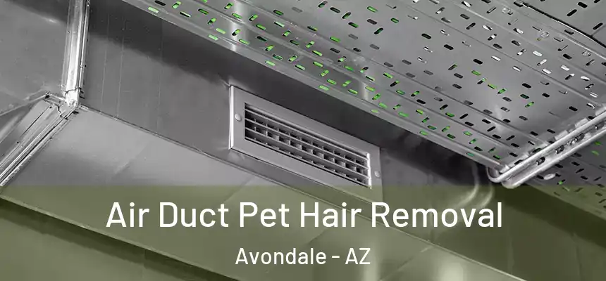 Air Duct Pet Hair Removal Avondale - AZ