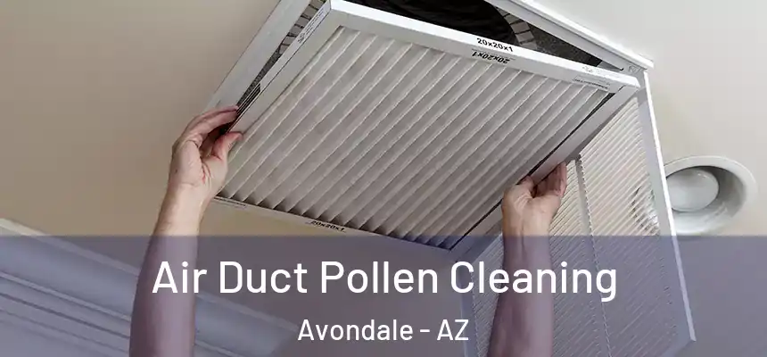 Air Duct Pollen Cleaning Avondale - AZ