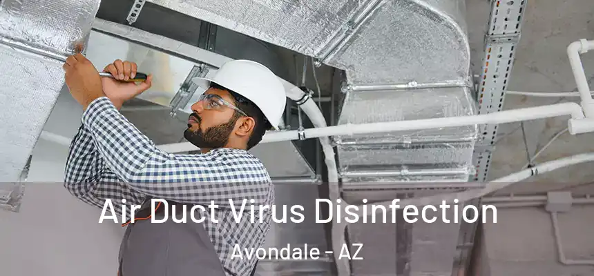 Air Duct Virus Disinfection Avondale - AZ