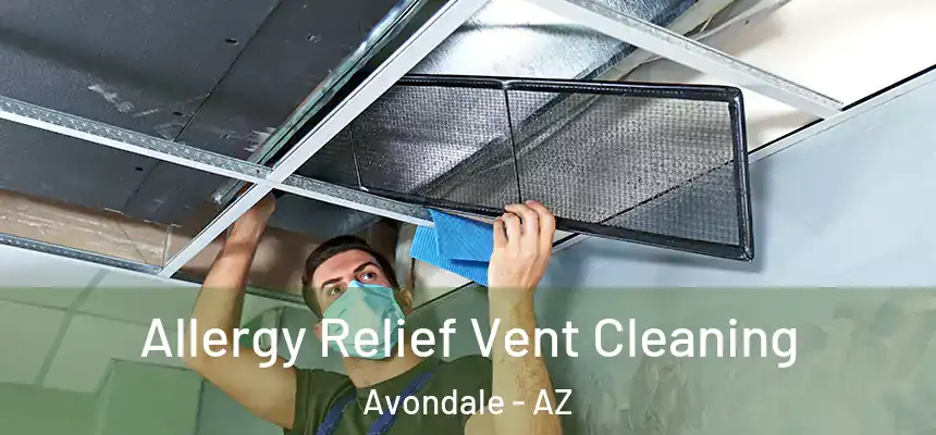Allergy Relief Vent Cleaning Avondale - AZ