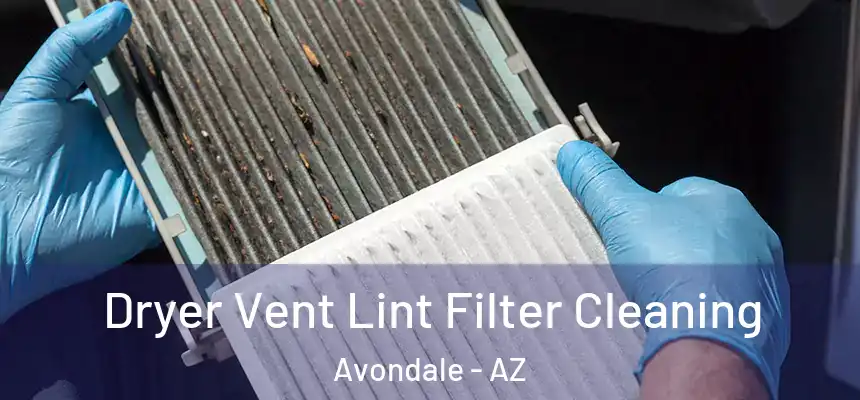 Dryer Vent Lint Filter Cleaning Avondale - AZ
