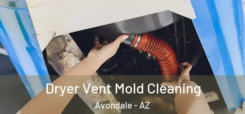 Dryer Vent Mold Cleaning Avondale - AZ
