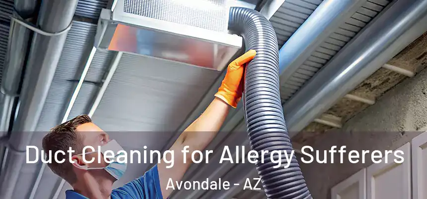Duct Cleaning for Allergy Sufferers Avondale - AZ