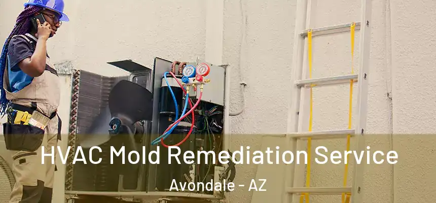 HVAC Mold Remediation Service Avondale - AZ