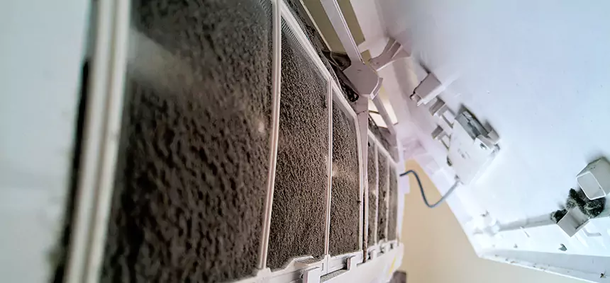 Preventive Air Duct Bacteria Removal in Avondale