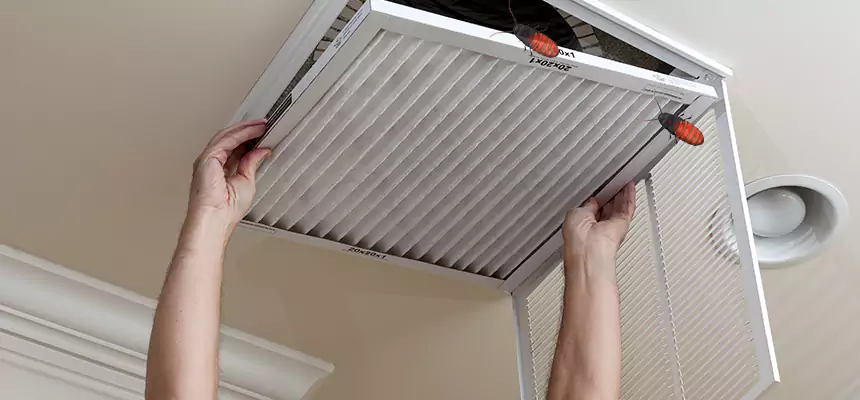 Preventive Cockroach-Proofing for Ducts in Avondale