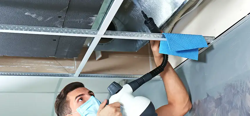 Our Air Duct Rodent Removal Services in Avondale, AZ
