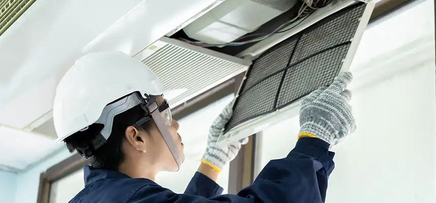 Our Lint Trap Cleaning Service Services in Avondale, AZ