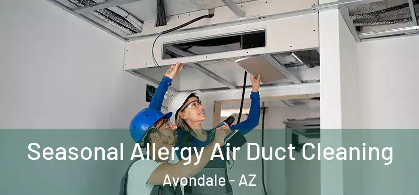 Seasonal Allergy Air Duct Cleaning Avondale - AZ