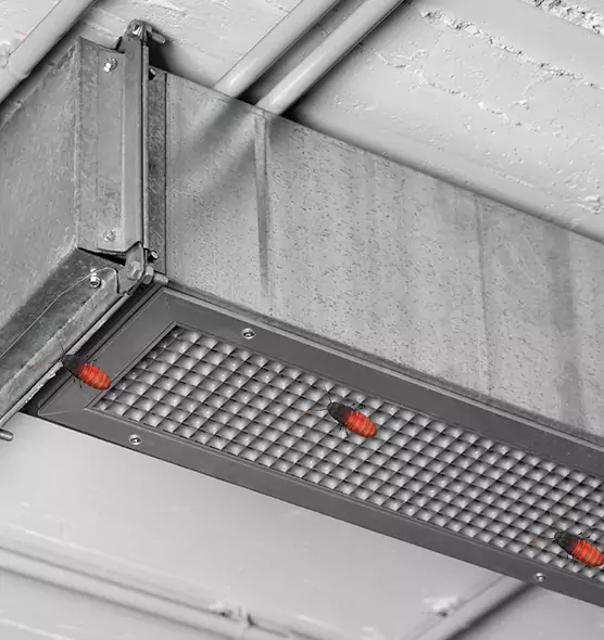 About Air Duct Cockroach Removal in Avondale, AZ