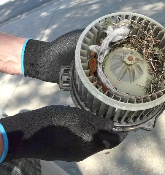 About Air Duct Mice Removal in Avondale, AZ