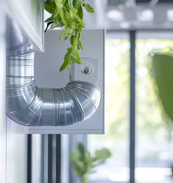 Professional Eco-Friendly Duct Cleaning Services in Avondale, AZ