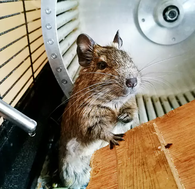 Why Homeowners & Businesses Trust Us Avondale, AZ