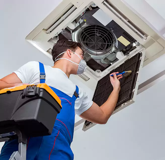 Why Homeowners & Businesses Trust Us in Avondale, AZ