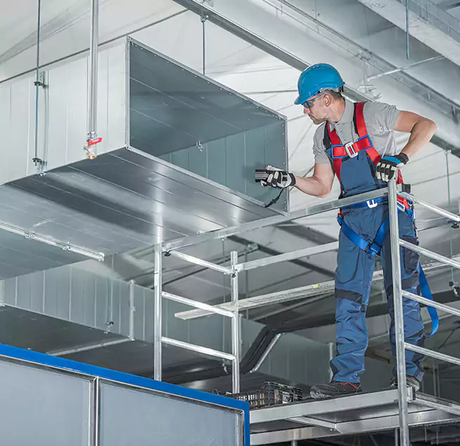 Why Homeowners Businesses Trust Us in Avondale, AZ