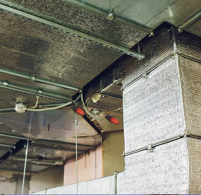 Why Homeowners & Businesses Trust Us Avondale, AZ?