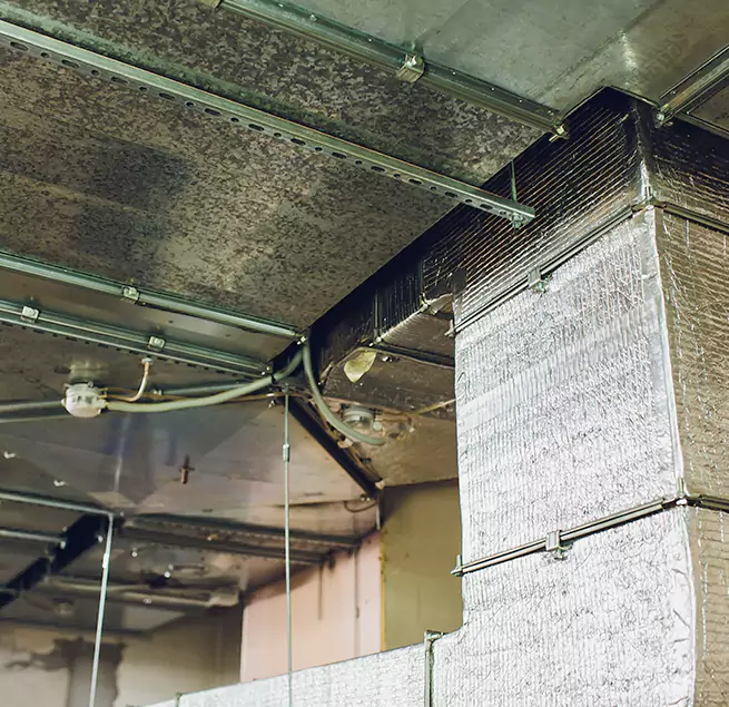 Why Homeowners & Businesses Trust Us in Avondale, AZ?