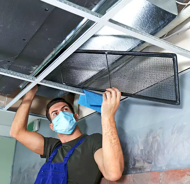 Why Homeowners Businesses Trust Us in Avondale, AZ