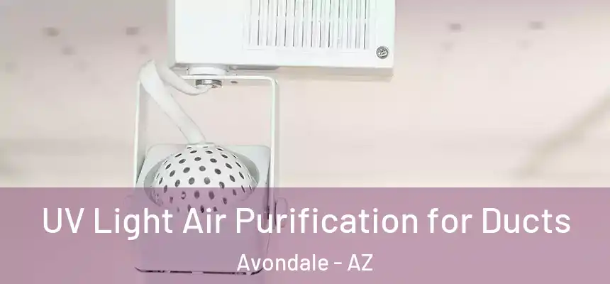  UV Light Air Purification for Ducts Avondale - AZ
